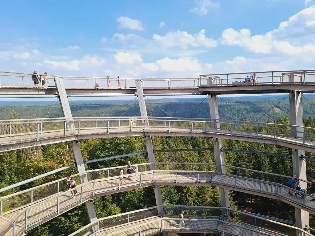 Baumwipfelpfad Schwarzwald in Bad Wildbad 3