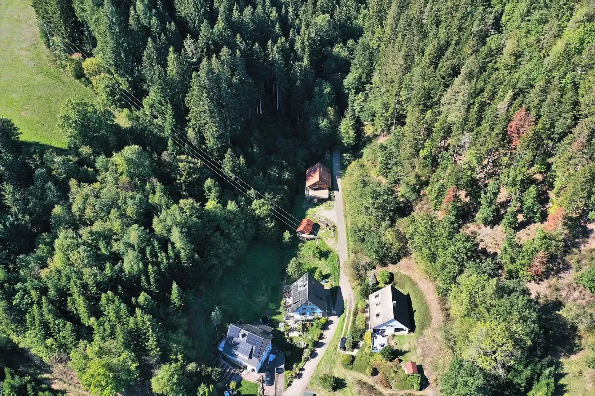 Schwarzwald Blockhütte Köhlerhaus 14