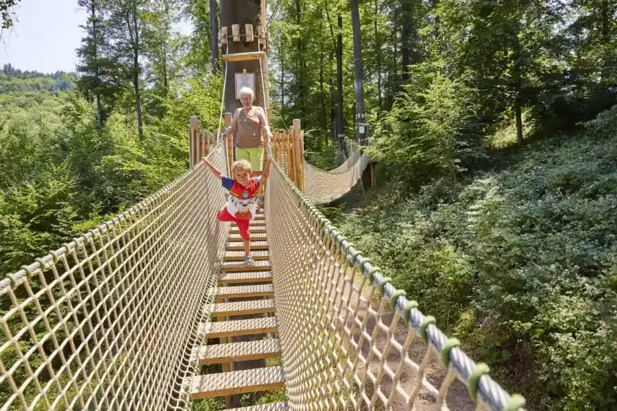 Baumkronenweg Waldkirch 2