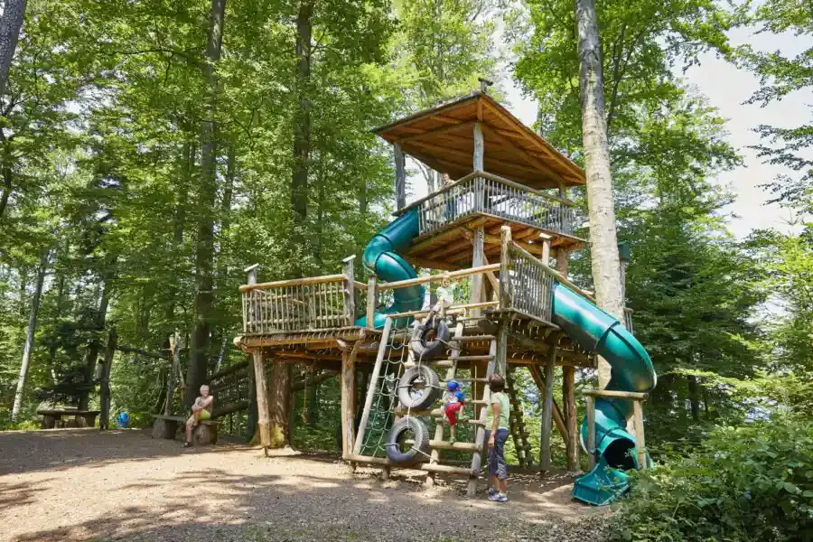 Baumkronenweg Waldkirch 3