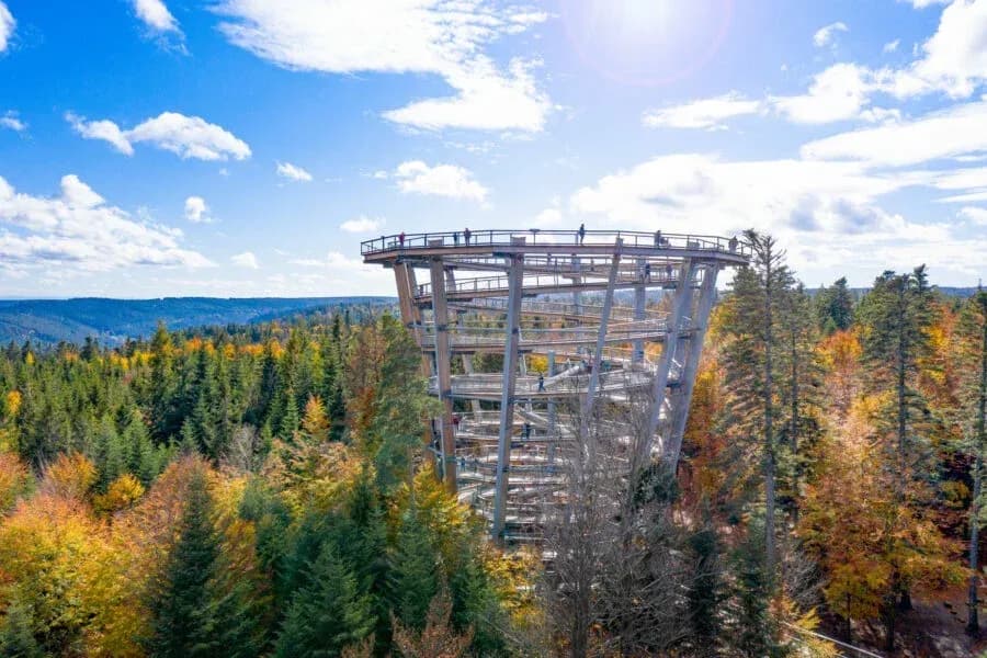 Baumwipfelpfad Schwarzwald in Bad Wildbad