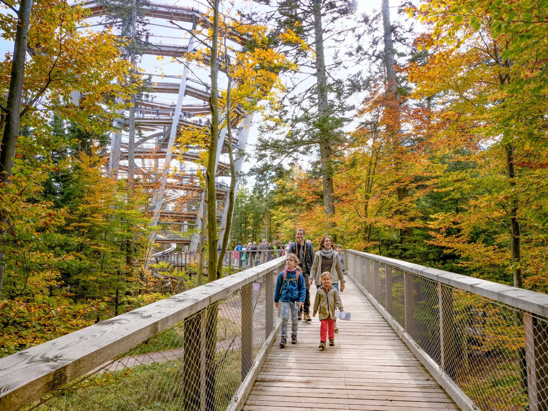 Baumwipfelpfad Schwarzwald in Bad Wildbad 2