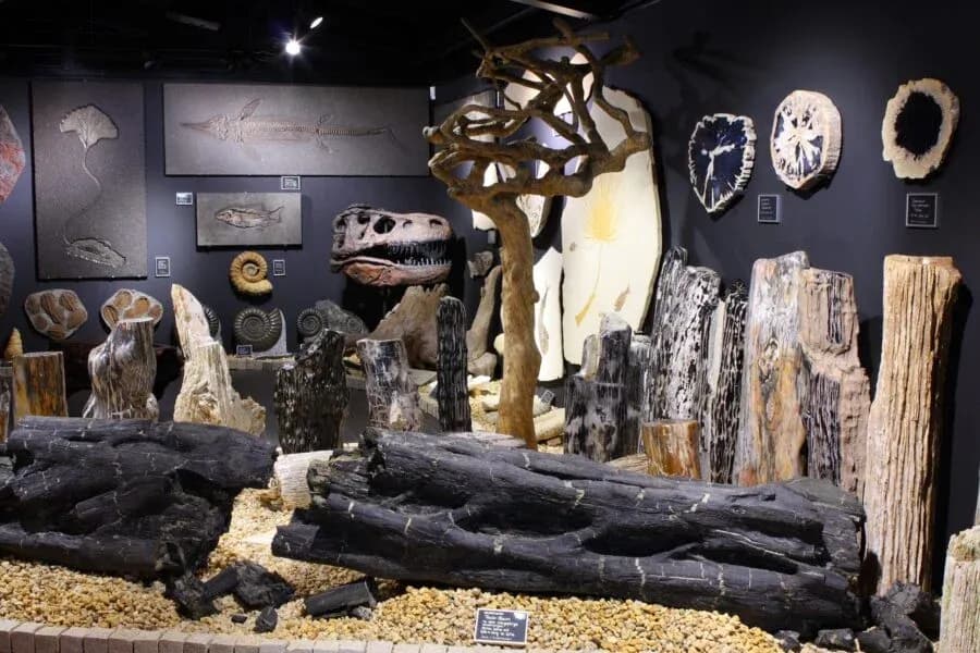 Die Welt der Kristalle