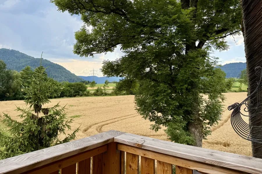 Ferienhaus Schwarzwald Mühle 21