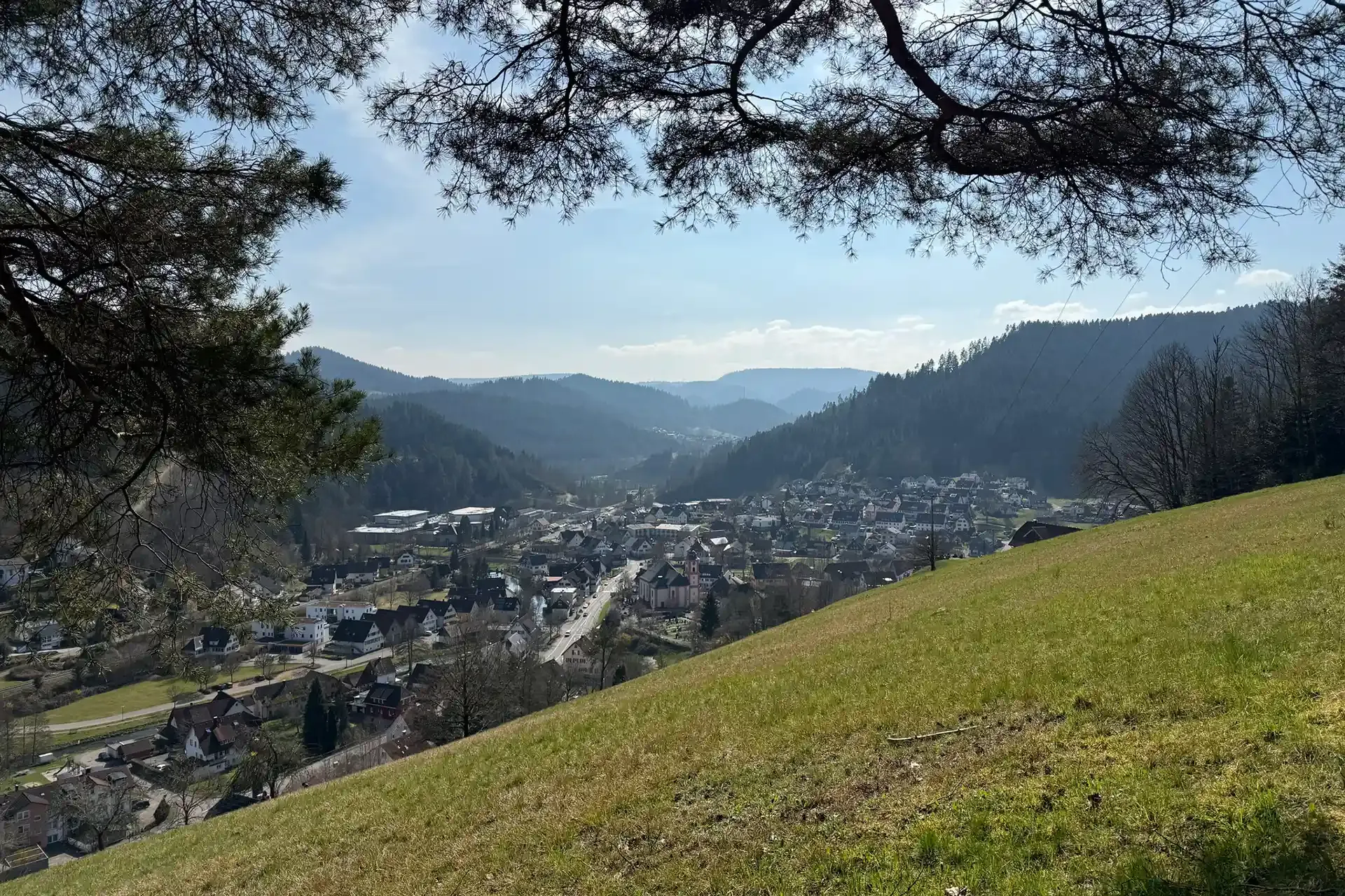 Schwarzwald Blockhaus Flößerhaus 17