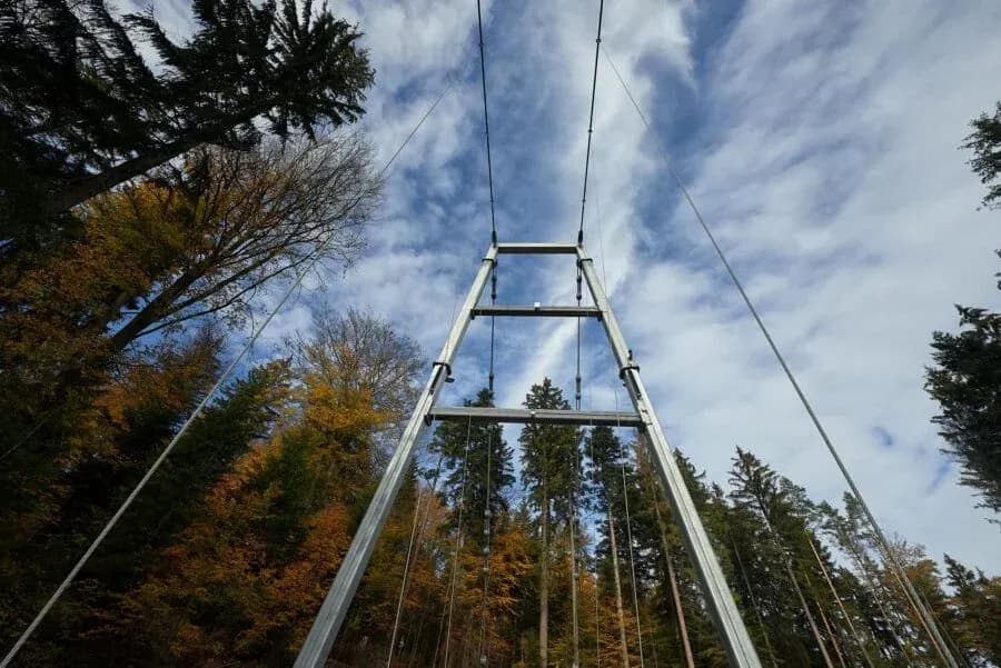 Hängebrücke WILDLINE Bad Wildbad 3