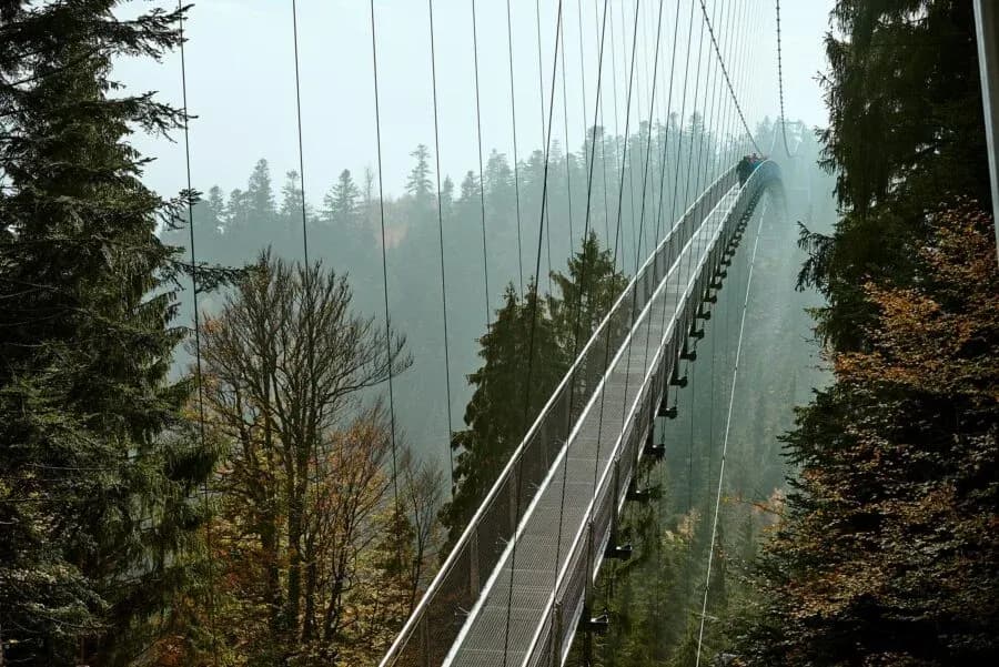 Hängebrücke WILDLINE Bad Wildbad 4