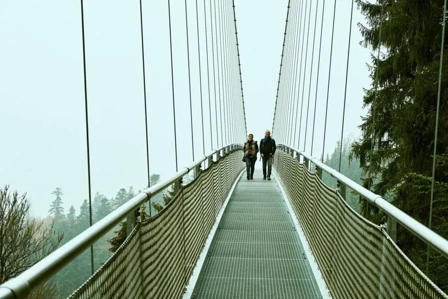 Hängebrücke WILDLINE Bad Wildbad 5