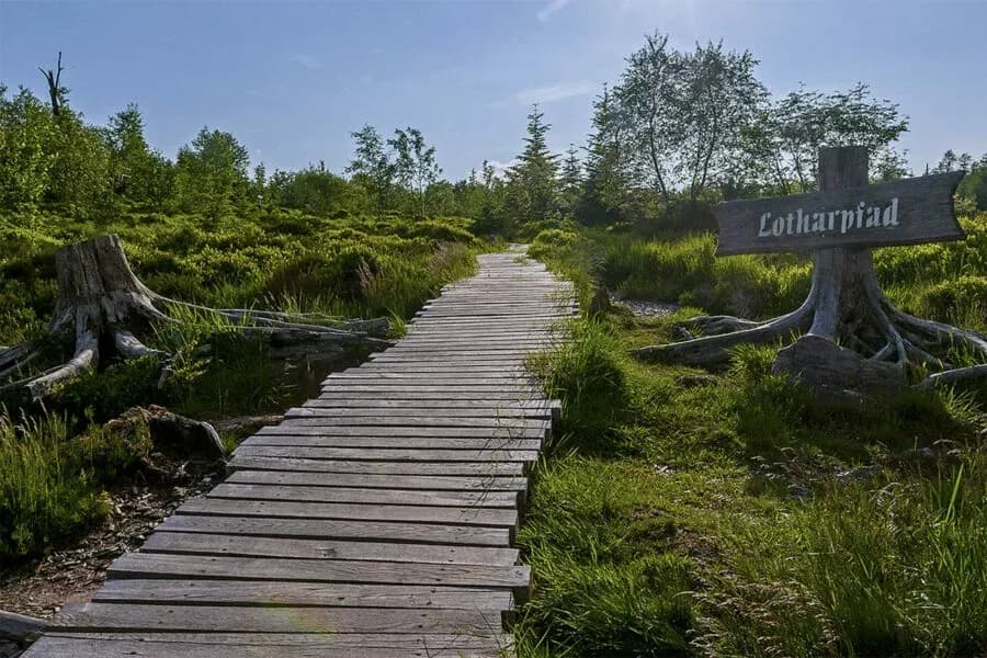Lotharpfad an der Schwarzwaldhochstraße 2
