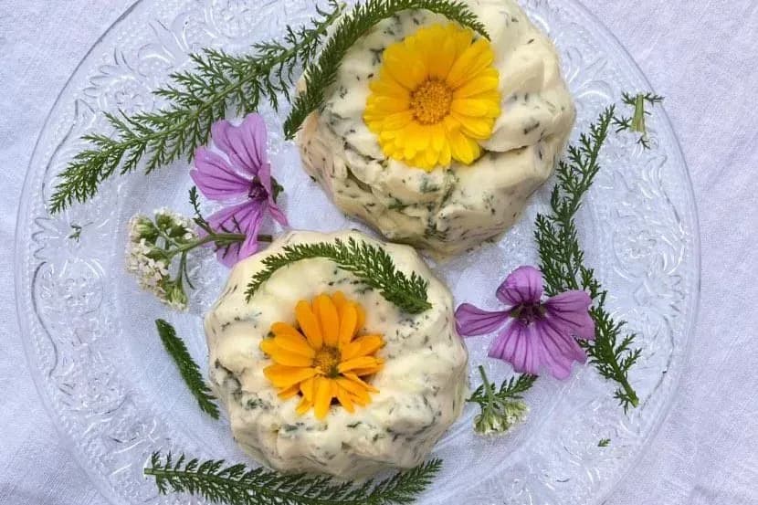 Manu’s Wald & Wiesen Welt – echtes Naturerlebnis im Schwarzwald 5