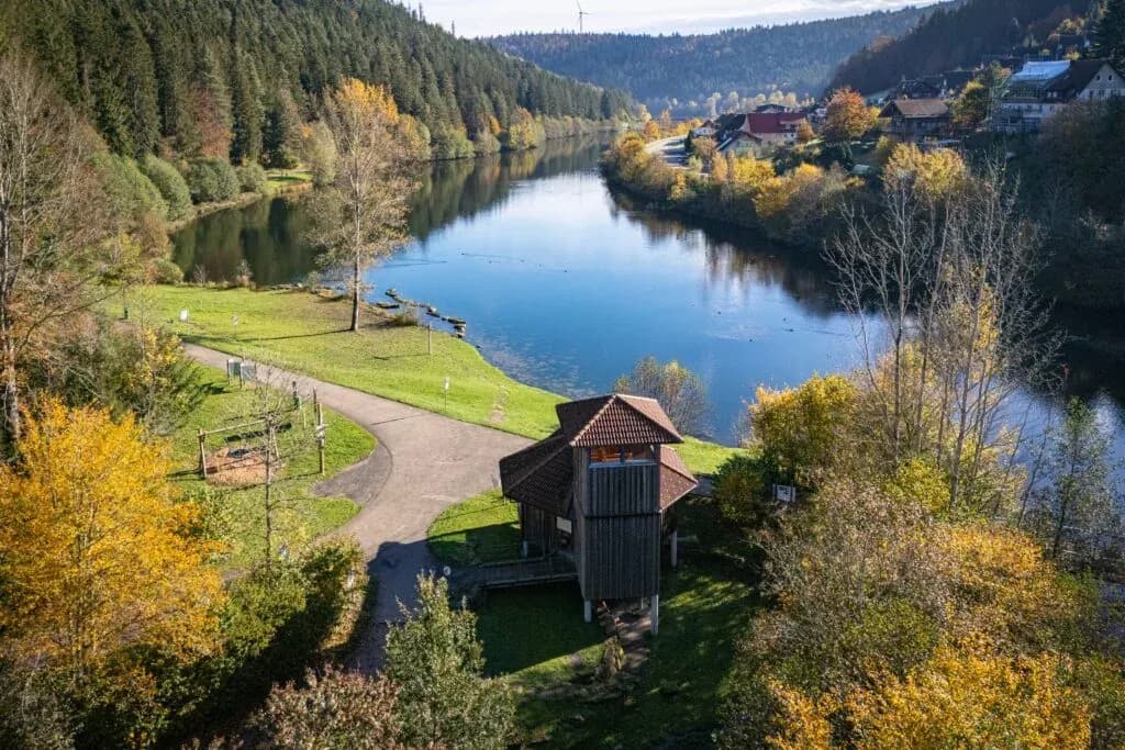 Nagoldtalsperre Stausee – Naturparadies im Schwarzwald