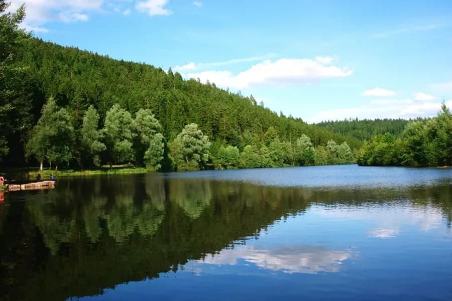 Nagoldtalsperre Stausee – Naturparadies im Schwarzwald 2