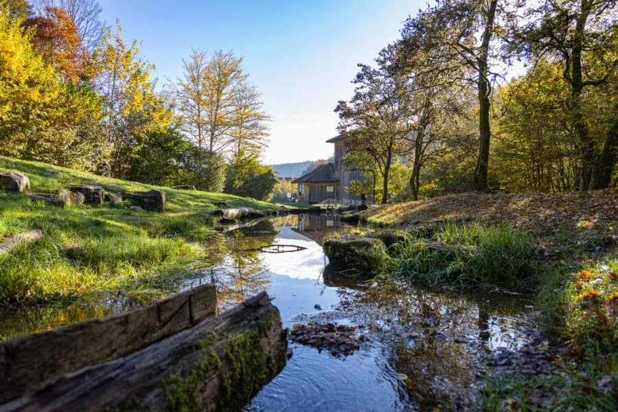 Nagoldtalsperre Stausee – Naturparadies im Schwarzwald 4
