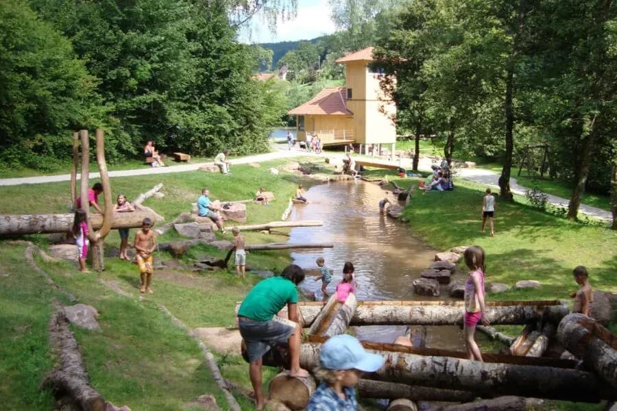 Nagoldtalsperre Stausee – Naturparadies im Schwarzwald 5