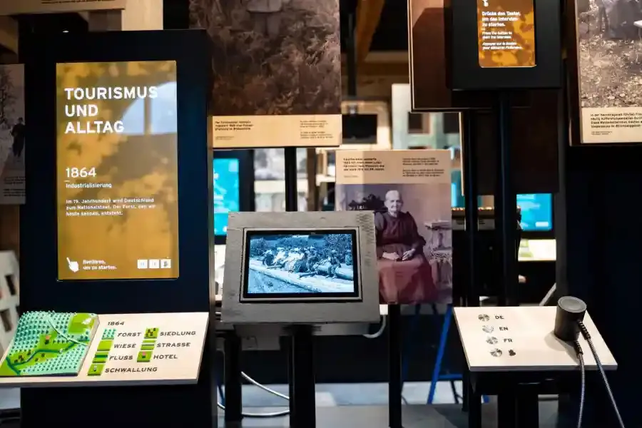 Nationalpark Schwarzwald 2